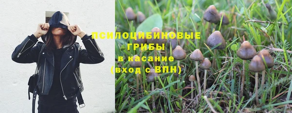 apvp Алексин